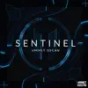 Stream & download Sentinel - Single