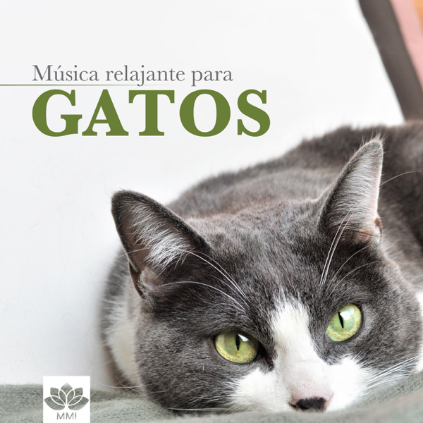 Musica Para Gatos Musica Relajante Instrumental Para Calmar A Gatos Nerviosos De Relajacion Oasis En Apple Music