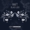 Denic (Anatolian Sessions Remix) - Haft lyrics