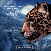 2Night - Single