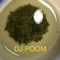 Dingo - DJ Poom lyrics