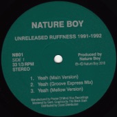 Nature Boy - Yeah (Groove Express Mix)