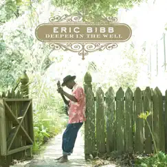 Deeper in the Well by Eric Bibb album reviews, ratings, credits