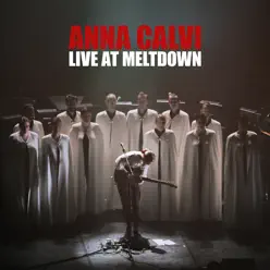 Live at Meltdown - Anna Calvi