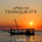 African Tranquility - James Kenneth lyrics