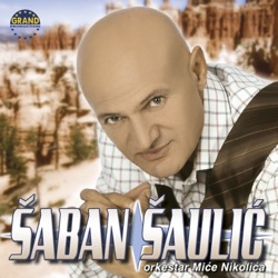 Šaban Šaulić - Sadrvani