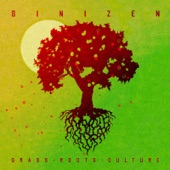 Sinizen - Crazy in Love (feat. Kat)