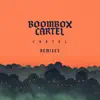 Cartel (Remixes) album lyrics, reviews, download