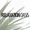 Relaxation Oasis - 24 Songs album lyrics, reviews, download