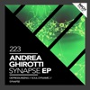 Synapse - Single