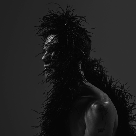 Cover artwork for Gentry