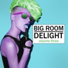 Big Room Delight, Vol. 3