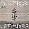 Calvin Harris - Promises