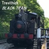 Trevithick - A Maiden's Prayer