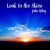 Look to the Skies