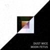 Moon Fetus EP