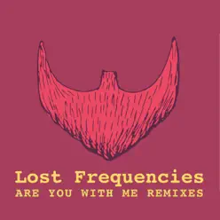 Are You with Me (Remixes, Pt. 2) - Lost Frequencies