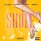 Shole (feat. Dammy Krane & Sinzu) - Yung6ix lyrics