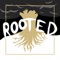 Rooted (feat. Dan Mock) - Kirkland An lyrics