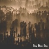 Sky Blue Sky (Single Deluxe Edition) - Single