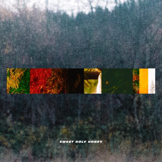 Cover artwork for Sweet Holy Honey