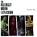 Do I Love You - The Hillbilly Moon Explosion