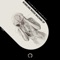 Bubbling Water Machine - Timberblack & Villamizar lyrics