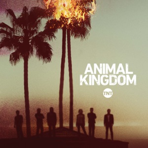 Animal Kingdom, Saison 1 (VF) - Episode 9