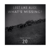 What's Missing? - Single
