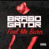 Feel Me Burn album lyrics, reviews, download