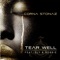 Tear Well (feat. Sly & Robbie) - Cornastonaz lyrics