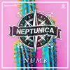 Stream & download Numb - Single