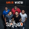 Amor Voltei - Single, 2018