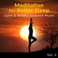 Peaceful Sleep Music Collection - Meditation for Better Sleep Vol. 2: Calm & Restful Ambient Music – Natural Ocean, Piano, Zen Lullabies to Soothe Soul, Cure Insomnia artwork
