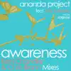 Awareness (feat. Mia Tuttavilla) album lyrics, reviews, download