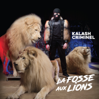 Kalash Criminel - La fosse aux lions artwork