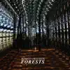 Forests - EP album lyrics, reviews, download