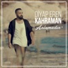 Anlamadın - Single