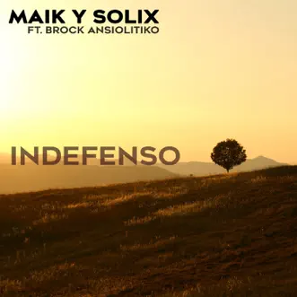 Indefenso (feat. Brock Ansiolitiko) - Single by Maik Santa Morte & Solix album reviews, ratings, credits