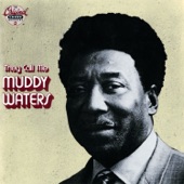 They Call Me Muddy Waters artwork