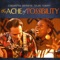 The Ache of Possibility - Louis Rosen & Capathia Jenkins lyrics