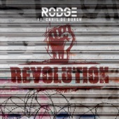 Revolution (feat. Chris De Burgh) artwork