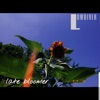 Late Bloomer - Single