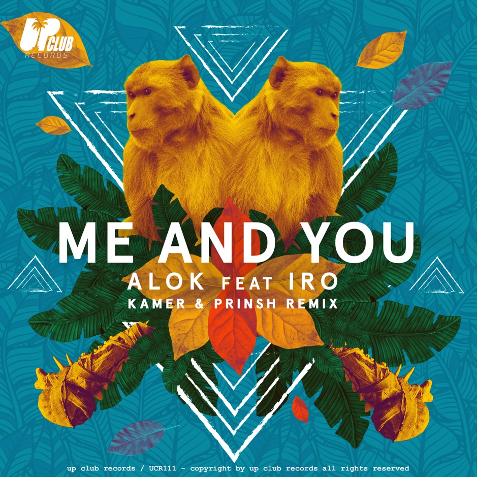 Me and You (Kamer & PRINSH! Remix) by Alok (Ft. IRO)