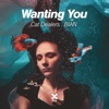 Wanting You - Single