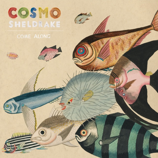 Cosmo Sheldrake - Come Along