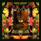 White Arrows - Coming or Going