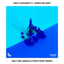 Only One (feat. James Delaney) [ANGUS & Piece Wise Remix] Song Lyrics