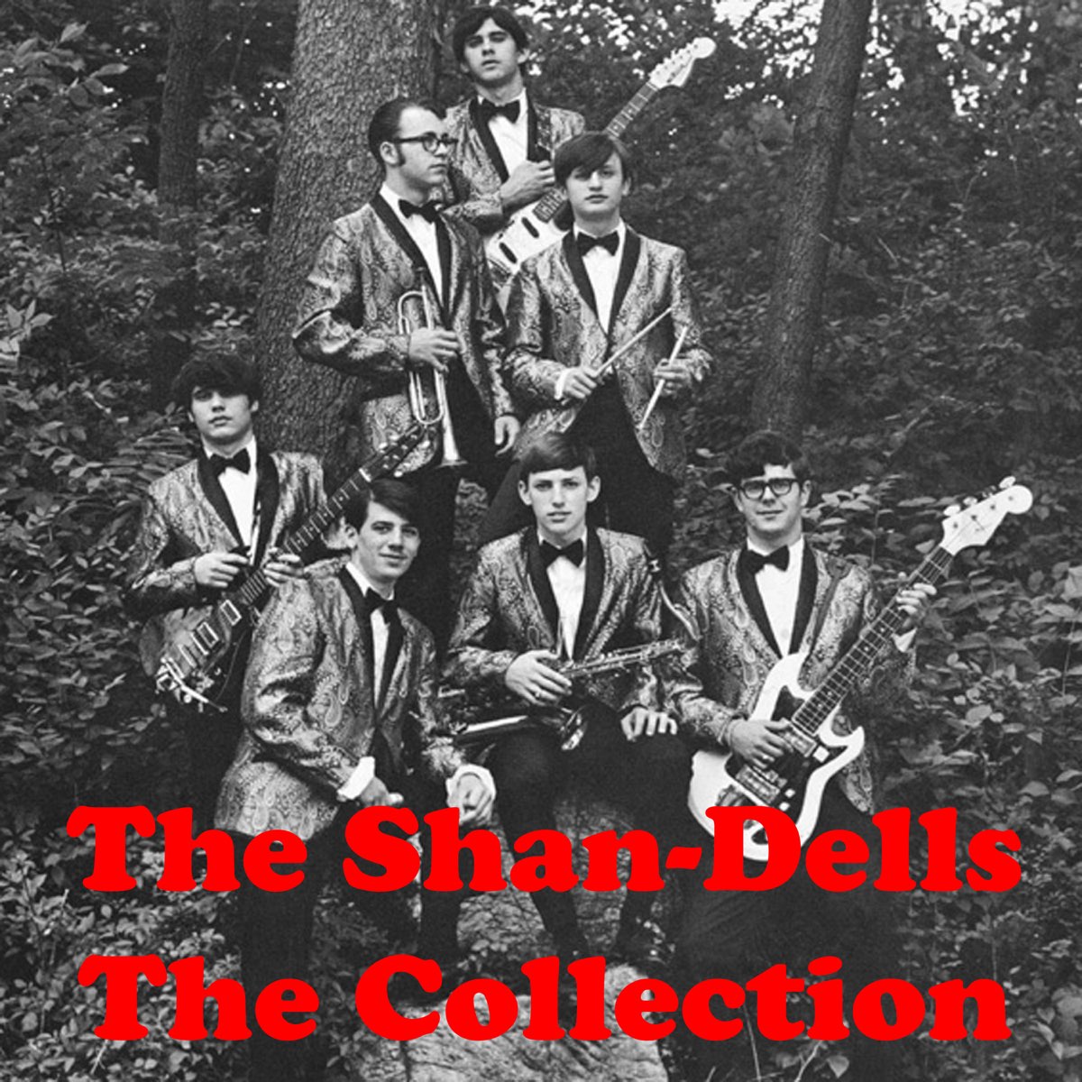 ‎The Collection EP by The Shandells on Apple Music