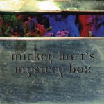 Mickey Hart - Where Love Goes (Sito)